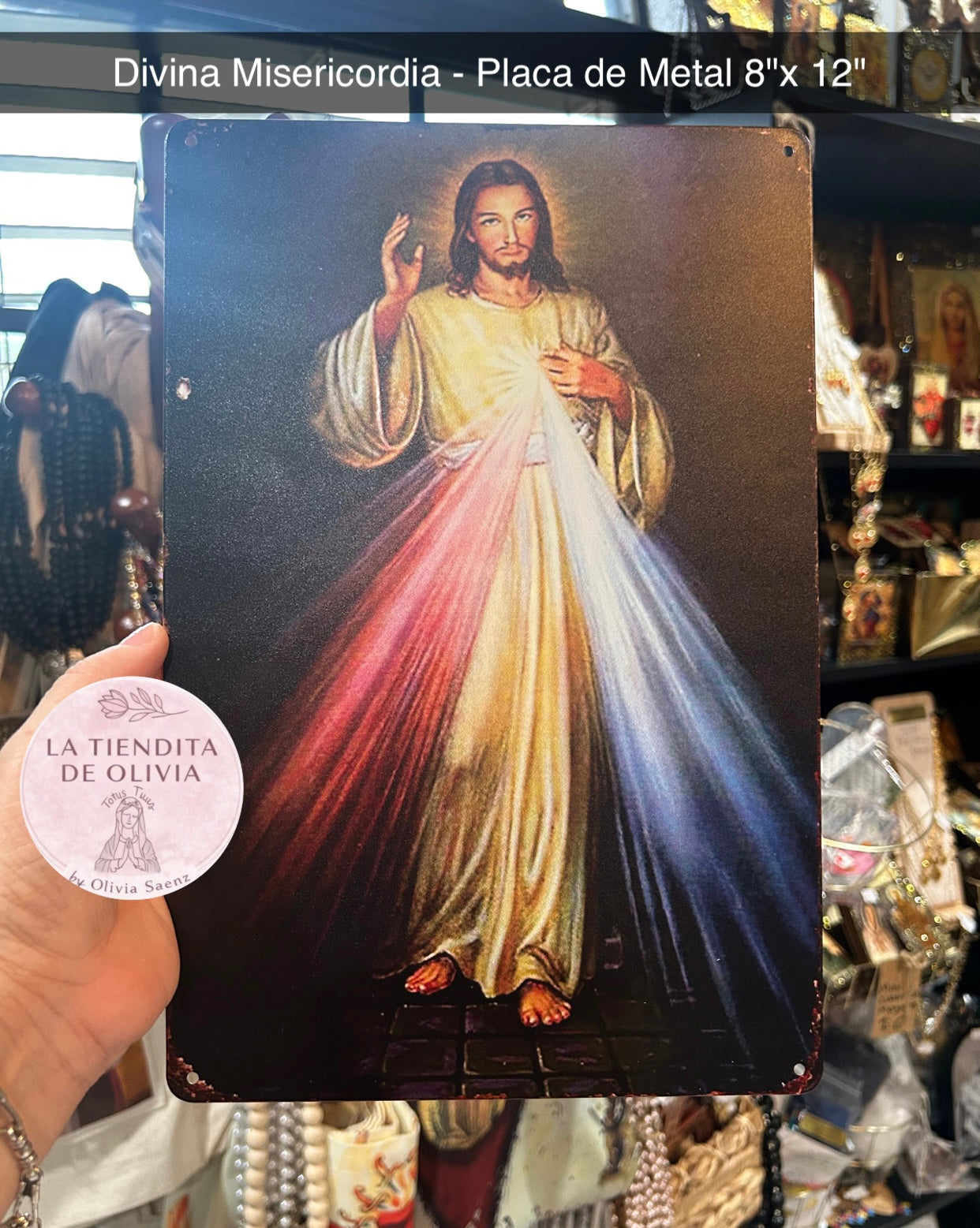 Divina Misericordia - Placa de Metal 8"x 12"