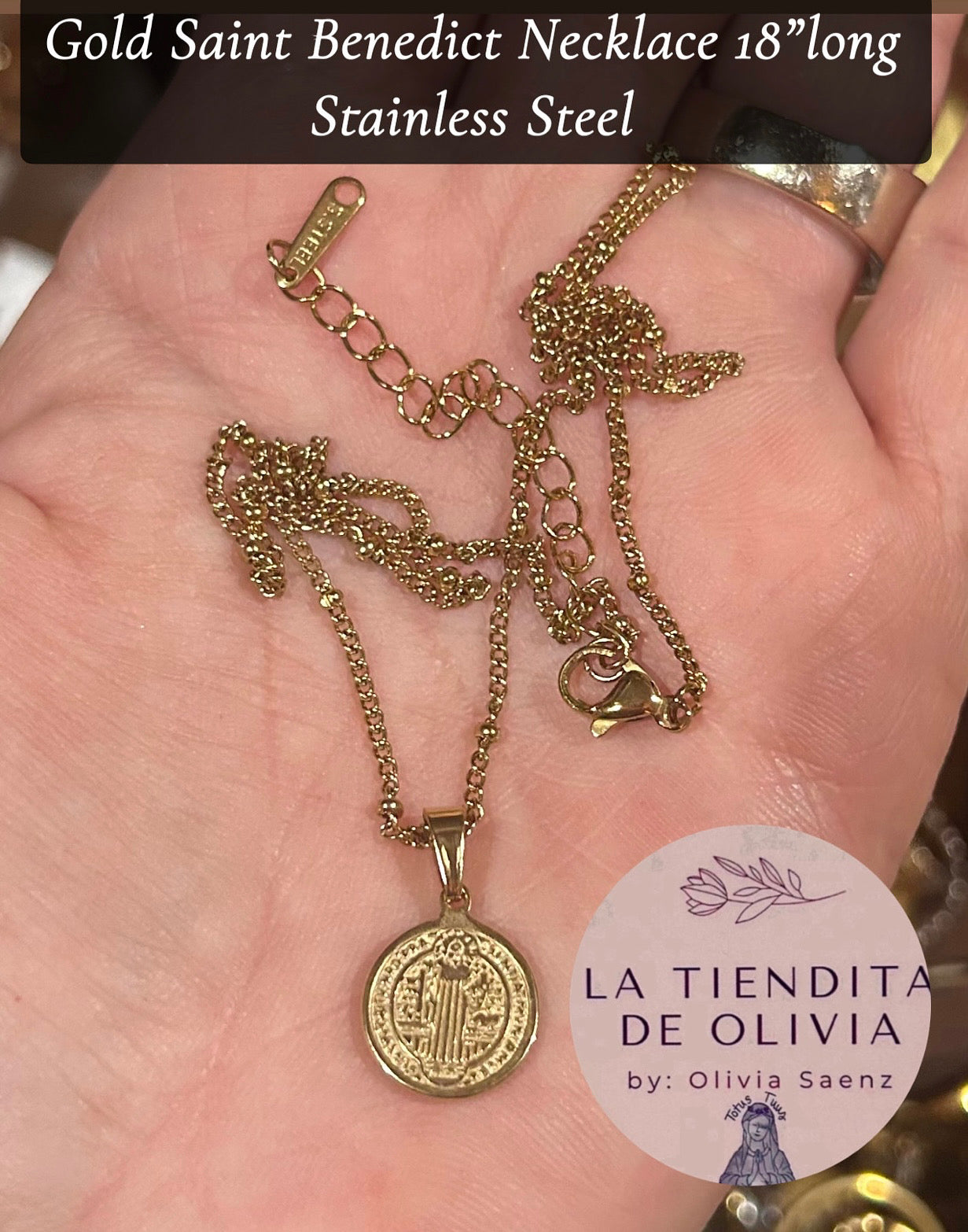 Gold Saint Benedict Necklace 18”long
Stainless Steel