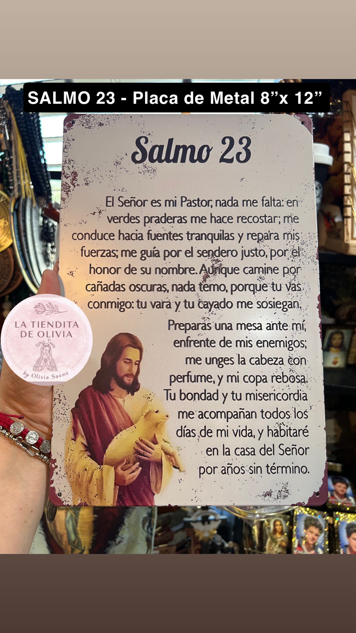 SALMO 23 - Placa de Metal 8"x 12"