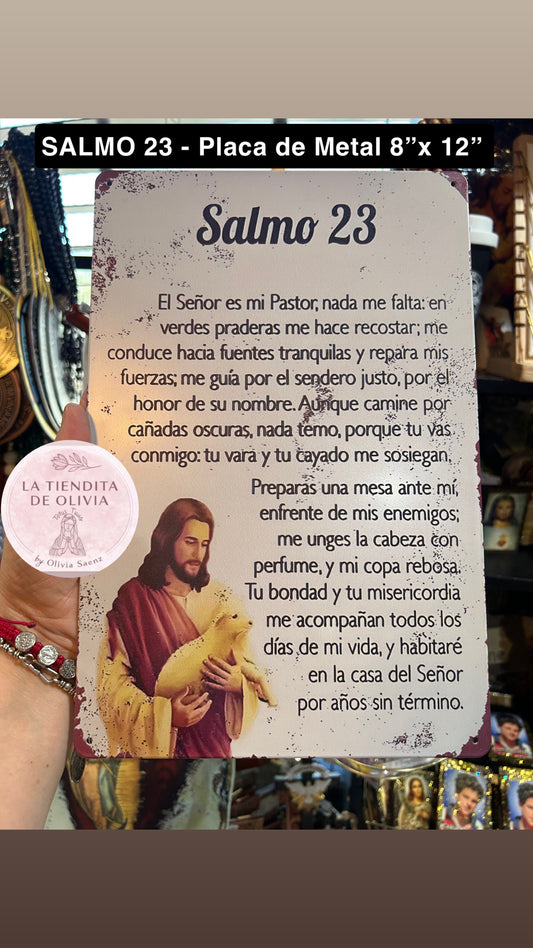 SALMO 23 - Placa de Metal 8"x 12"